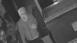 Caught on camera: Masked thieves break into 3 south St. Louis businesses