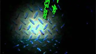 Dervonz German/Multilingual Minecraft Server Mini-trailer (unfinished) Edit 2.