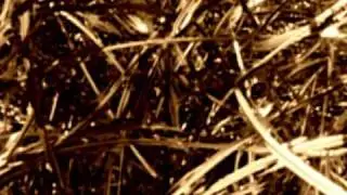 Sydonia - Lonely Soul