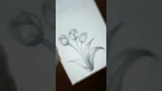 Tulip flower shading 💐🌷✨...#art #shading #shadingtutorial #tulips #flowers