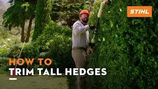 How to trim tall hedges | STIHL