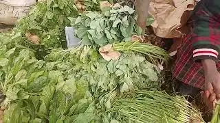Gardening 101!!Transform my backyard into a kitchen garden 🏡