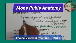 Mons Pubis | External Genitalia (Female Reproductive System) | OBG Part 1
