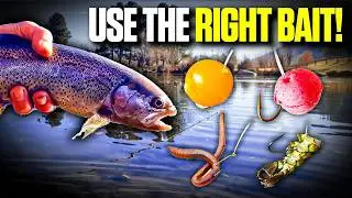 8 Best Baits for Trout Fishing - Tested in the Winter