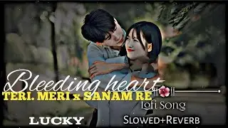 Bleeding heart ❤️ tere meri x sanma re x dvu x Bollywood cchillaut x lucky 2026