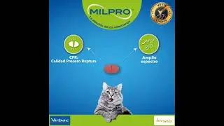 Miles de veterinarios se han cambiado a #Milpro y t&uacute; &iquest;Qu&eacute; esperas?