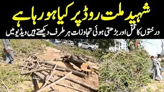Tree cutting in Karachi Dozens tree cutting Environment destroyed Shaheed e Millat @focus with fahim