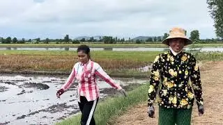 Explore a Duck Farm by Boat in the Surprising Countryside of Vietnam | Rural Life Adventure &ldquo; Farm