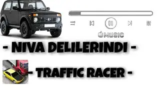 Nivalar Delilerindi - Traffic Racer