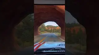At this moment, freedom is personified in Cars.I found the road that Lightning McQueen drove in Cars
