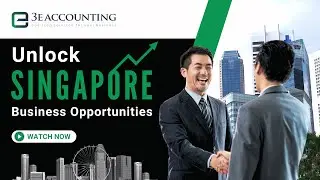 The FASTEST Way to Get Employment Pass in Singapore - 3E Accounting