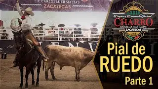 PIAL DE RUEDO parte 1 - Congreso Zacatecas 2018
