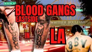 The Hidden Stories of LA's Blood Piru Sets: Gangs Redefining South Los Angeles