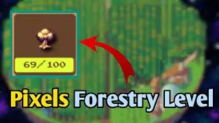Pixels Forestry Level | Fast Way to Level Up Forestry | Pixels Game