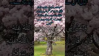 #ahadis #quotes #foryou #hadis #peace #saudiarabia #ytshorts #islam #muslim #trending #uae #nature