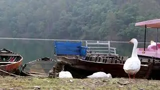 Sat-taal Lake, Nainital District,Uttarakhand