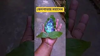 বেলপাতায় মহাদেব আঁকলাম। Mahadev leaf art #mahadev #reels #shorts #viral #trend #dineshart #art #diy
