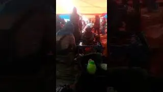 PASAR RAKYAT SUNGAI MANAU MERANGIN JAMBI