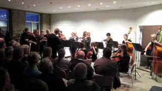 Str&aring;kensemblen 19/11 2011