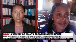 #EngineOfTheNation Vivian Muhammad of The Elephant Gardens on Starter Plants | NNV News