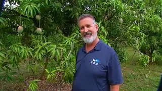 #ThePlayground Episode 9: Fruit and Spice Exotic Fruits and Plants Tour