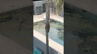 Now Thats Disgusting | #hotelpool #hotel #pool #disgusting #disgust