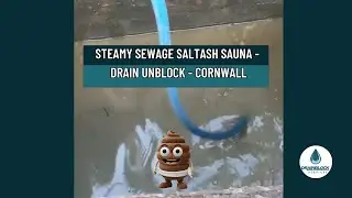 STEAMY SEWAGE SALTASH SAUNA  - DRAIN UNBLOCKING #cornwall #drainunblocking  #steamy