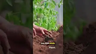🌱 Grow 10+ Healing Herbs at Home | Medicinal Seed Kit 🌿 Order Now! #MedicinalHerbs #HerbalMedicine #