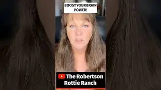 Why Rosemary Is Linked to Brain Health 🧠🌿