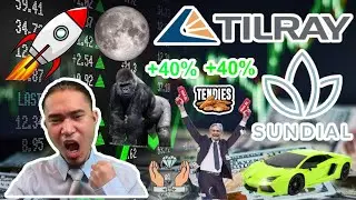SNDL Sundial Growers & TLRY Tilray Brands are SHORT SQUEEZING! HOW HIGH WILL THEY GO?! (3/24/22)