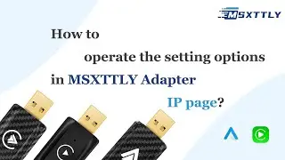 MSXTTLY| How to correctly access the IP page of the MSXTTLY adapter for operation?