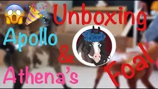 UNBOXING APOLLO AND ATHENAS FOAL!!!