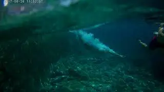 Dive in Creta 2