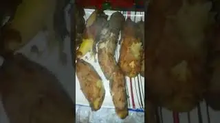 میرا یوٹیوب چینل کو سبسکرائب کریں