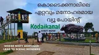 കൊടൈക്കനാലിലെ ഏറ്റവും മനോഹരമായ വ്യൂ പോയിന്റ് #kodaikanal #moirpoint