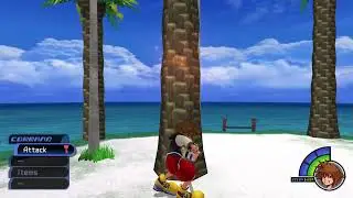 FMG Kingdom Hearts Part 1
