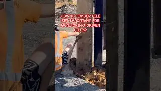 В ЧЕМ ВАЖНА УСТАНОВКА ДЕРЕВЯННЫХ СВАЕК ДЛЯ МОНИТОРИНГА ЗАБИТЫХ СВАЕК?