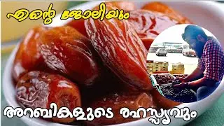 അറബികളുടെ രഹസ്യം Quality Dates In Saudi Arabia | Dates | Abaha | Ajuwa | Niyas Mundekatt