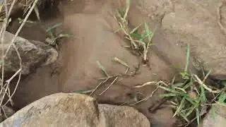 Phulbani,kandhamal, Daringbadi best waterfall location 