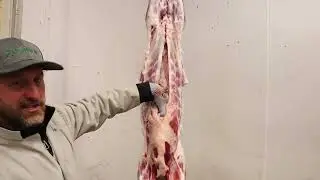 2023 ABGA & JABGA National Show: Meat Goat Evaluation - Carcass Class