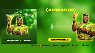 Sylvestre le zoukeur -AMBIANCE(audio officiel)