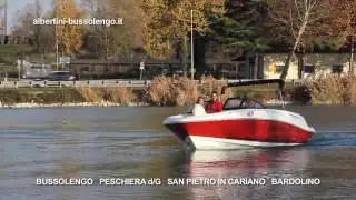 Pratiche Auto Albertini Bussolengo