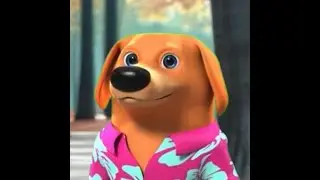 no diddy dog funeral