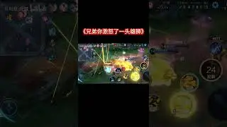 《兄弟你激怒了一头雄狮》 #贝利亚倪岚 #国服 #honorofkings #王者荣耀