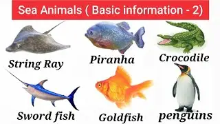 100 sea animals name | facts about water animals|  basic information about sea animals|#trending