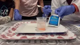 Stunning science experiment by kid scientists: Pop crystal fireworks in water