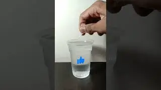What happened when we mixed fevikwik with water?#shorts#youtubeshort#shortvideo#short#experiment