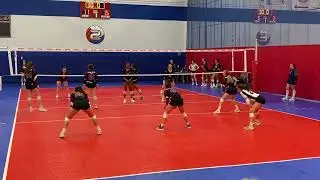 Shane Andrews Highlights