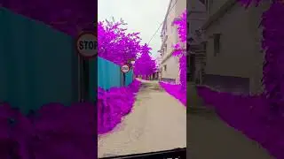 colours video#rrtx #gg #hindisong #yummy #hfy