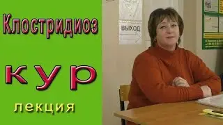 Клостридиоз у кур как и чем лечить